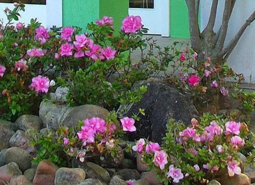 Vista exterior Foto