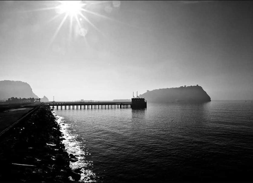 Altres Foto