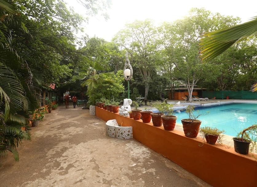 Pool Foto