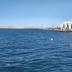 Altres