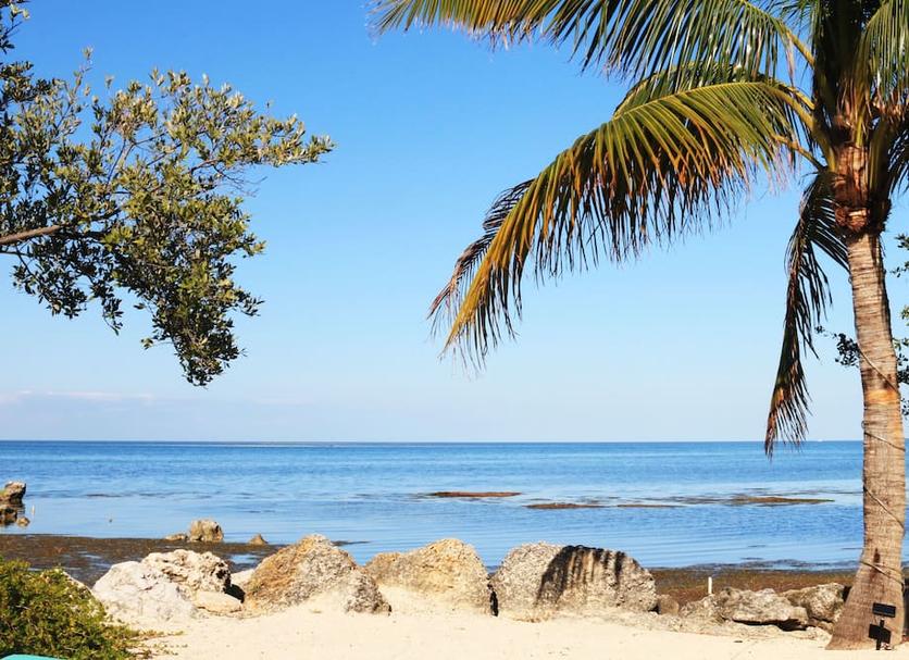 Platja Foto