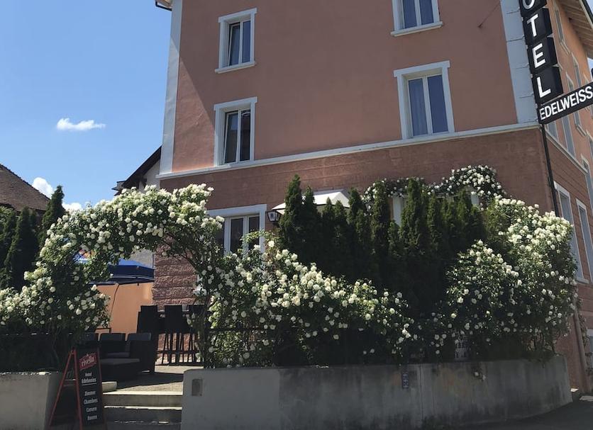 Edifici Foto