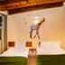Habitació