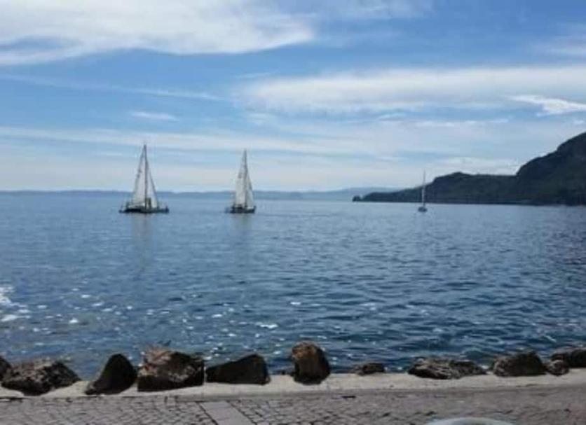 Altres Foto