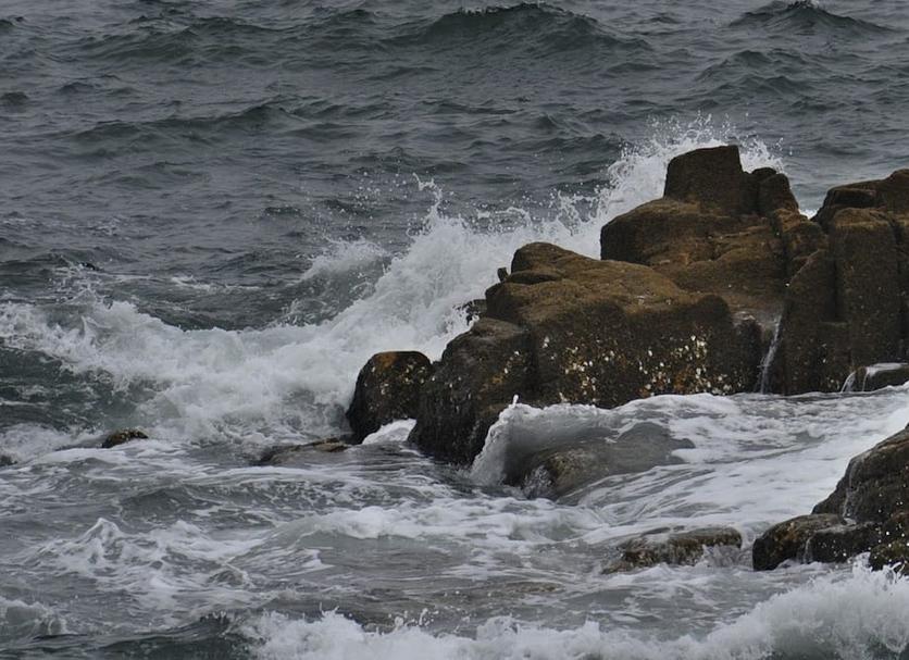 Altres Foto