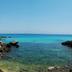 Altres