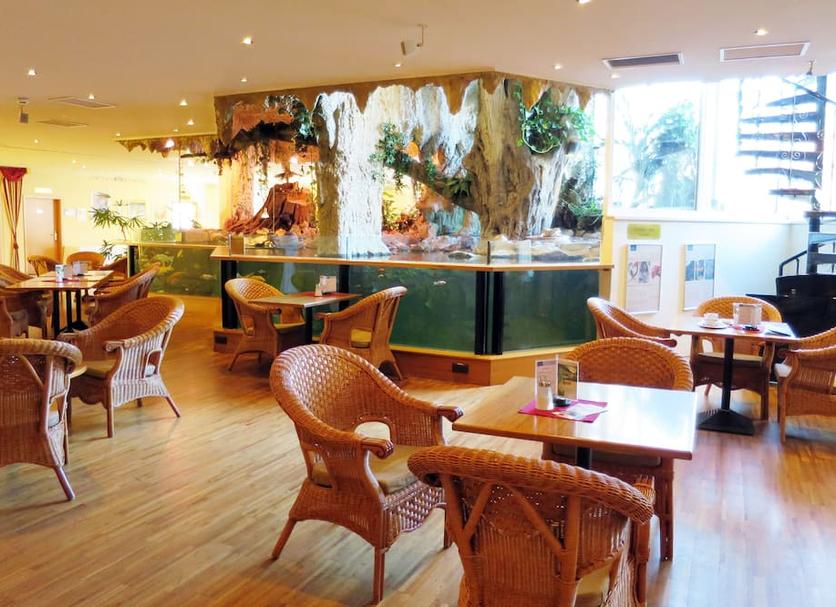 Restaurant Foto