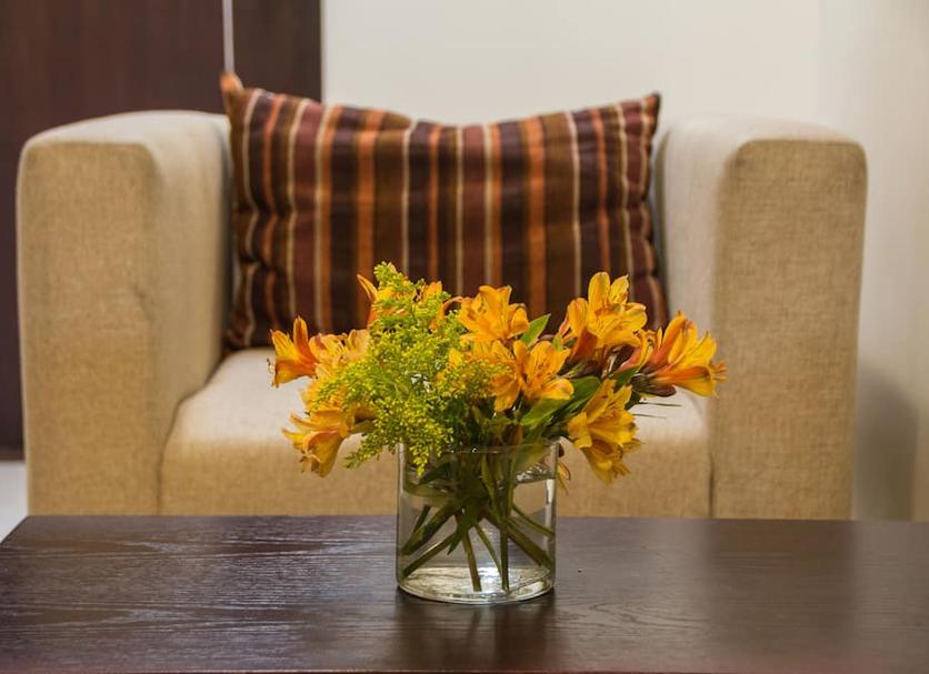 Serveis de l’habitació Foto