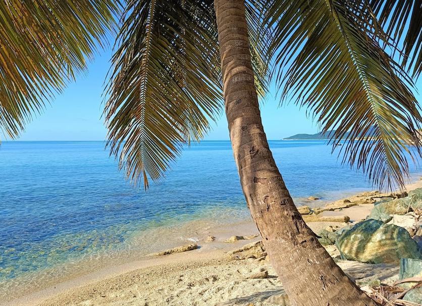 Platja Foto