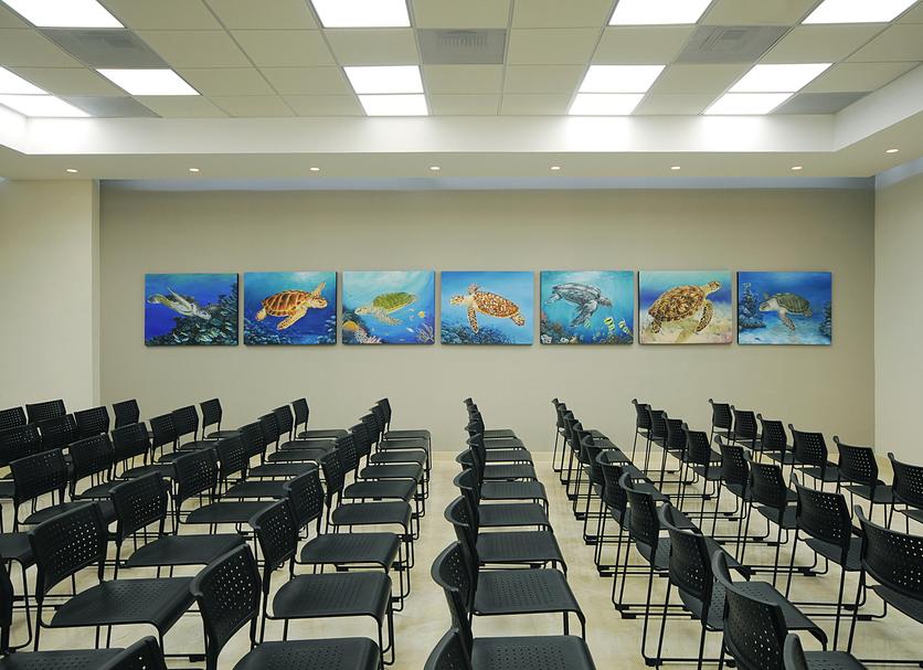 Sala de conferències Foto