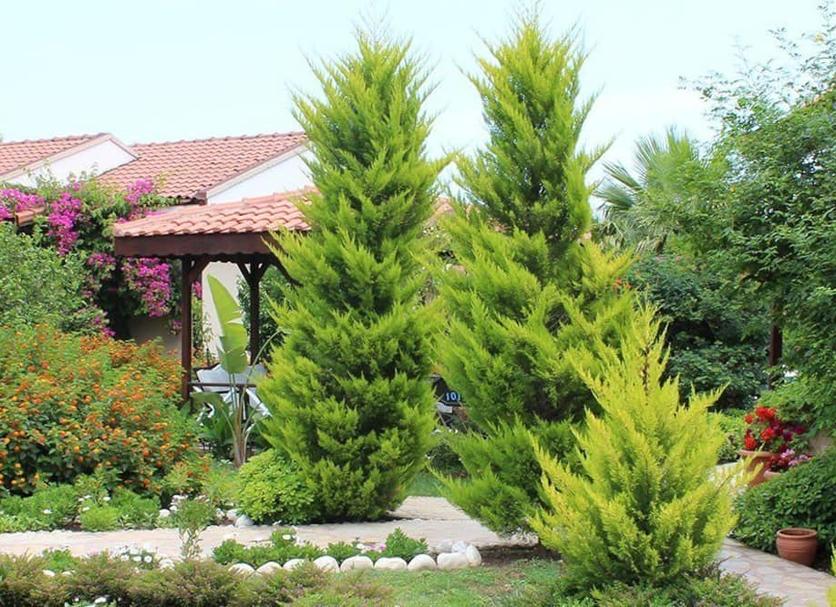 Vista exterior Foto