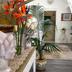 Decoració