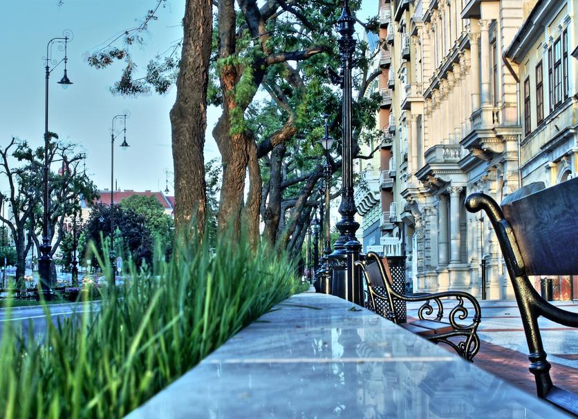 Altres Foto