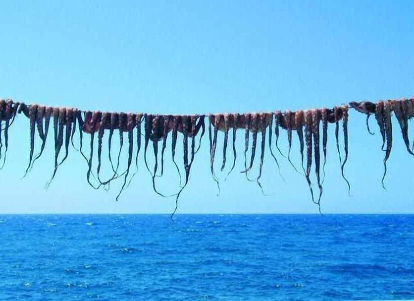 Platja Foto