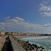 Altres
