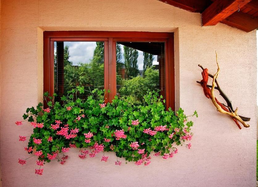 Vista exterior Foto