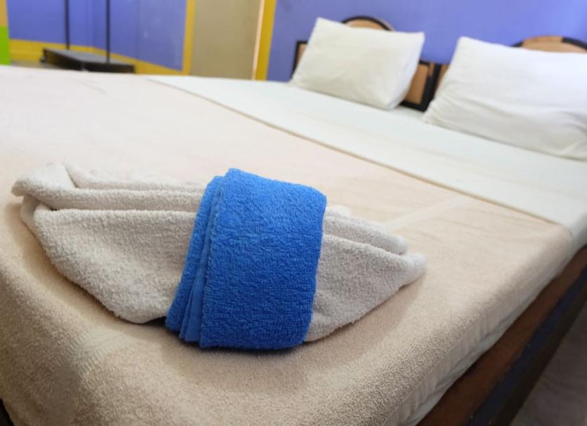 Serveis de l’habitació Foto