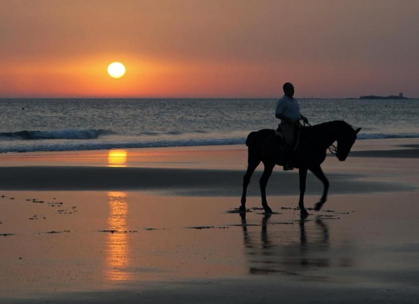 Platja Foto