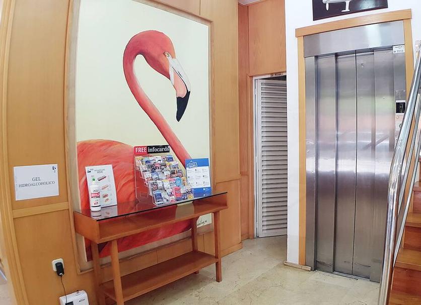 Serveis de l’habitació Foto