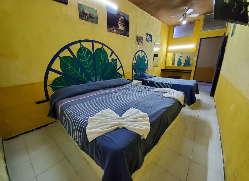Habitació Foto