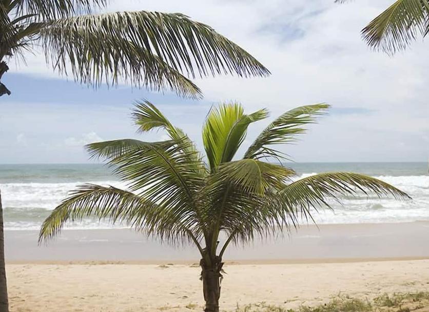 Platja Foto