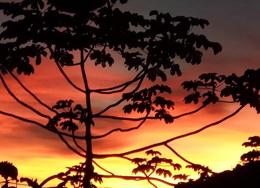 Altres Foto