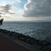 Altres
