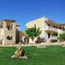 Edifici