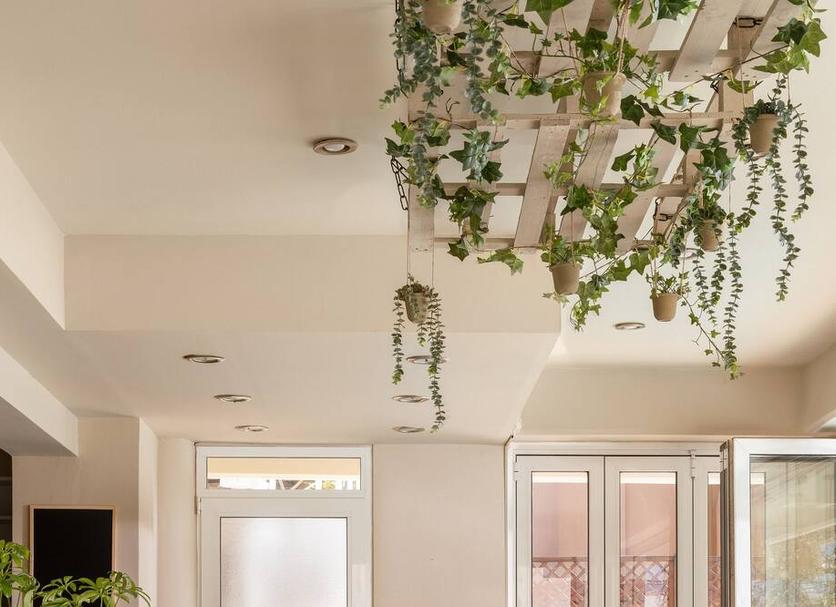 Serveis de l’habitació Foto