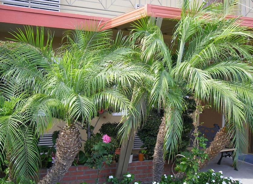 Vista exterior Foto