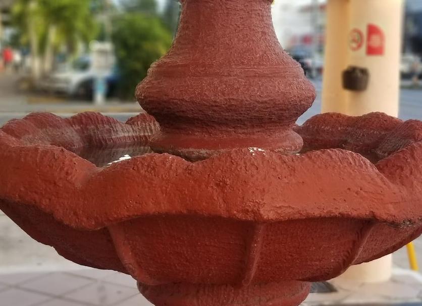 Altres Foto