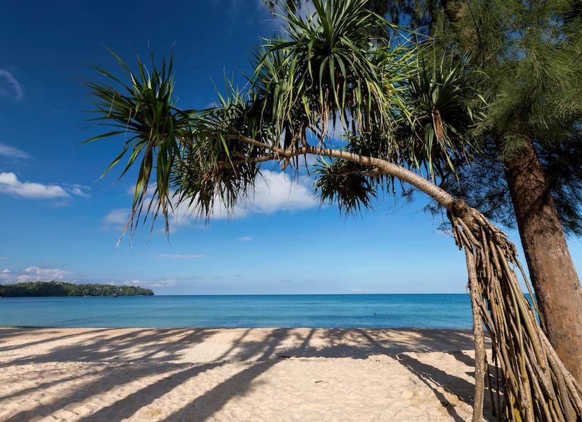 Platja Foto