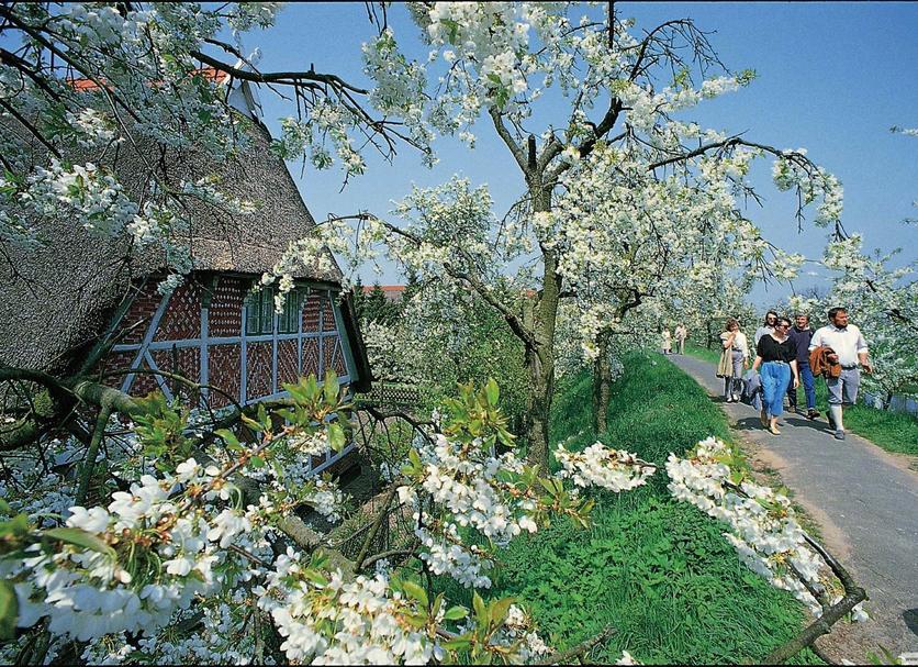 Altres Foto
