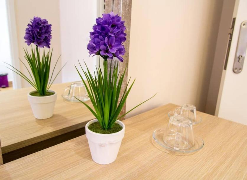 Serveis de l’habitació Foto
