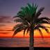 Platja