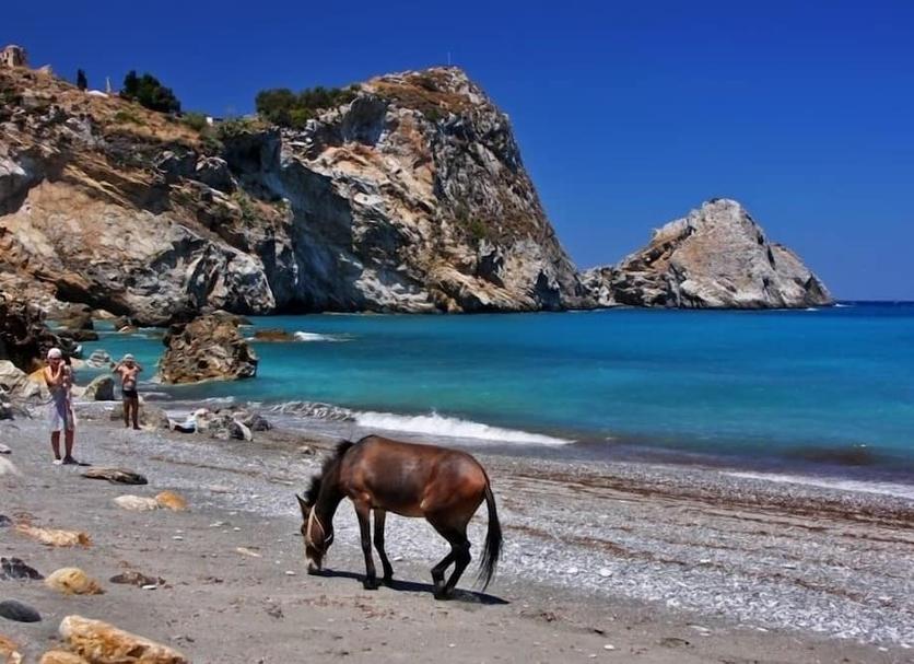 Platja Foto