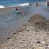 Platja
