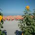 Platja