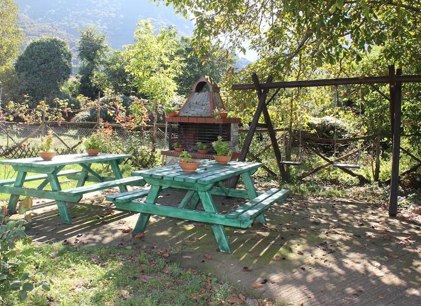 Pati Foto