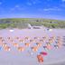 Platja
