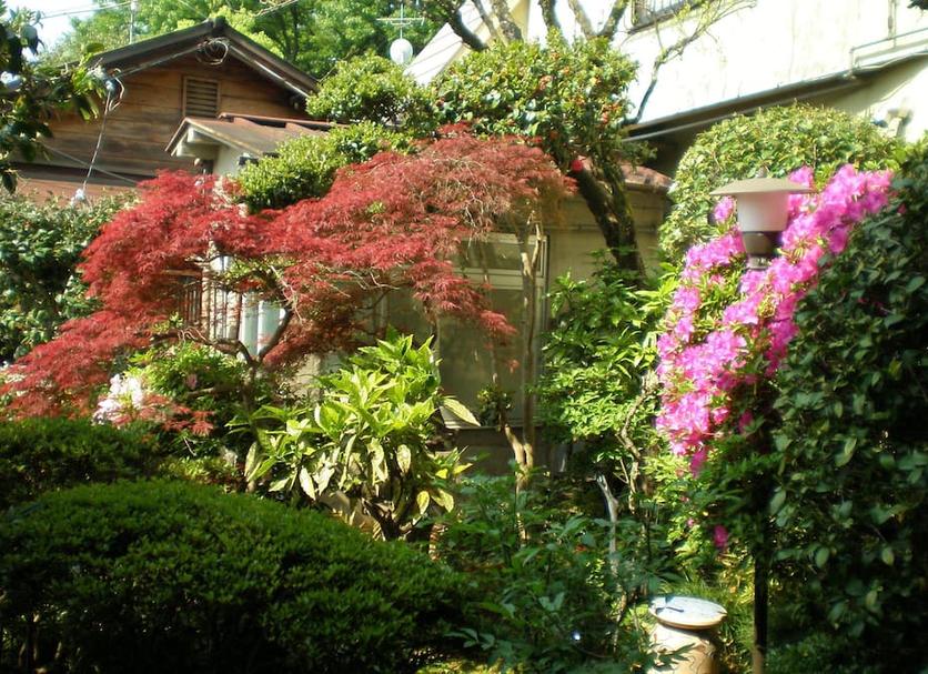 Vista exterior Foto