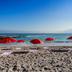 Platja
