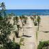 Platja