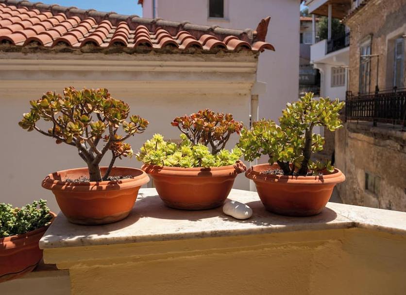 Vista exterior Foto