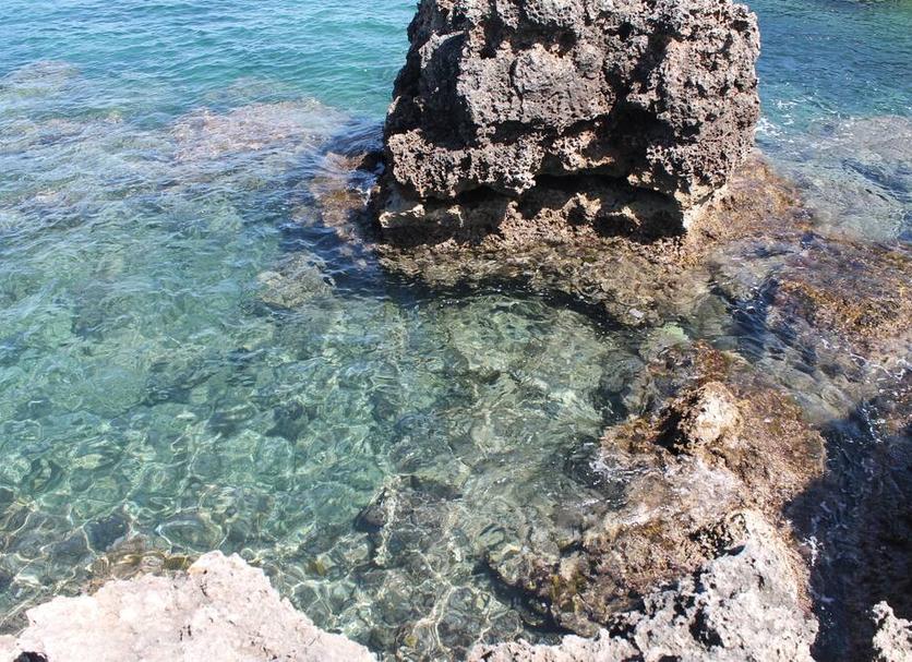 Platja Foto