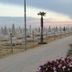 Altres