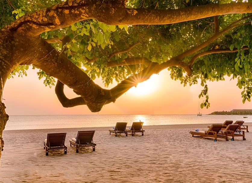 Platja Foto