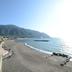 Altres