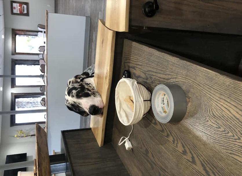 Serveis de l’habitació Foto