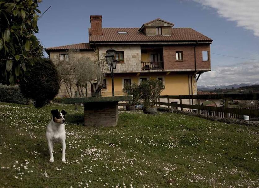 Edifici Foto